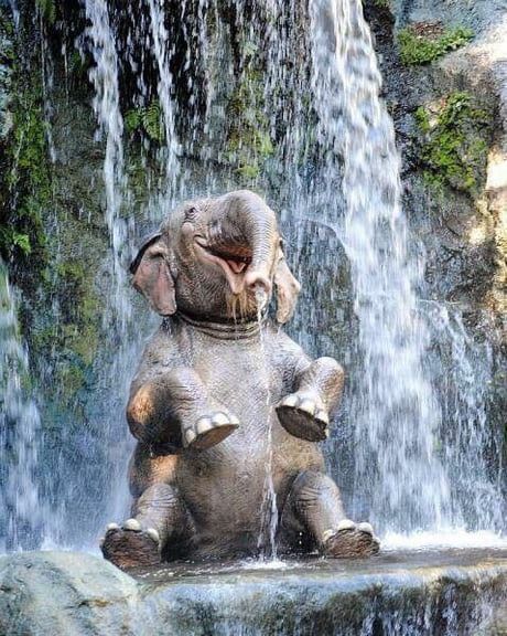 Los alegres elefantes bebés se deleitan con la magnificencia de una majestuosa cascada.